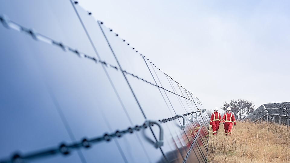 Two Shell employees walking between massive solar panels