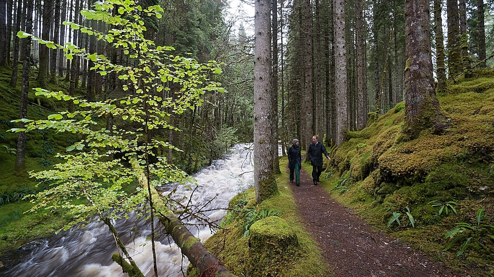 A man and a woman walking along rapids in a forest