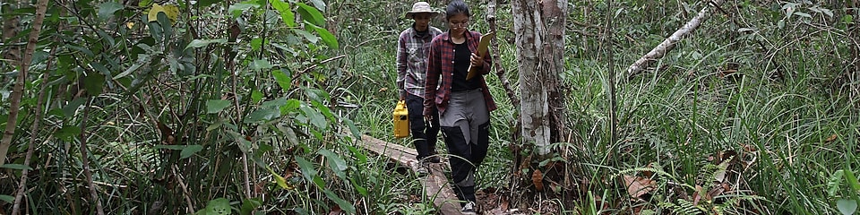 Indonesia Conservationists