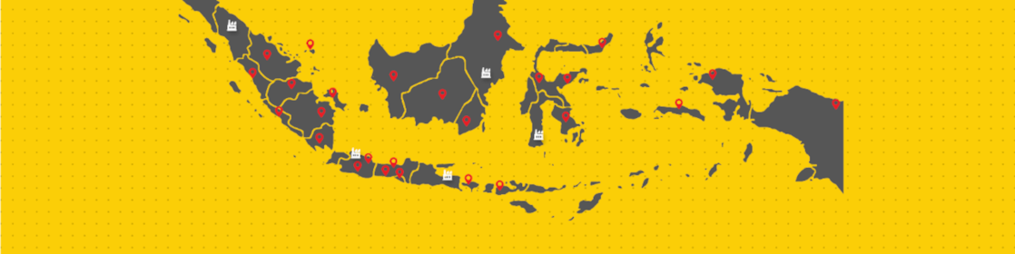 Jaringan Distributor