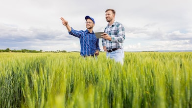 Pertanian & Agribisnis