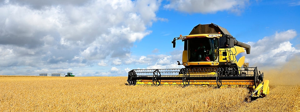  Machine cutting crop in field machinery-and-agriculture