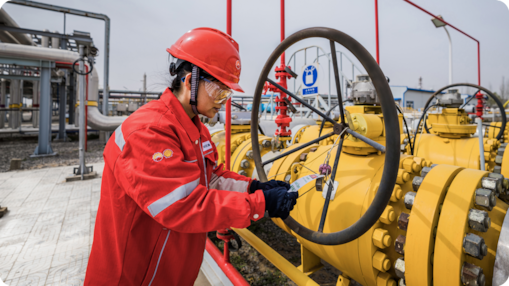 Shell Argina & Gadinia