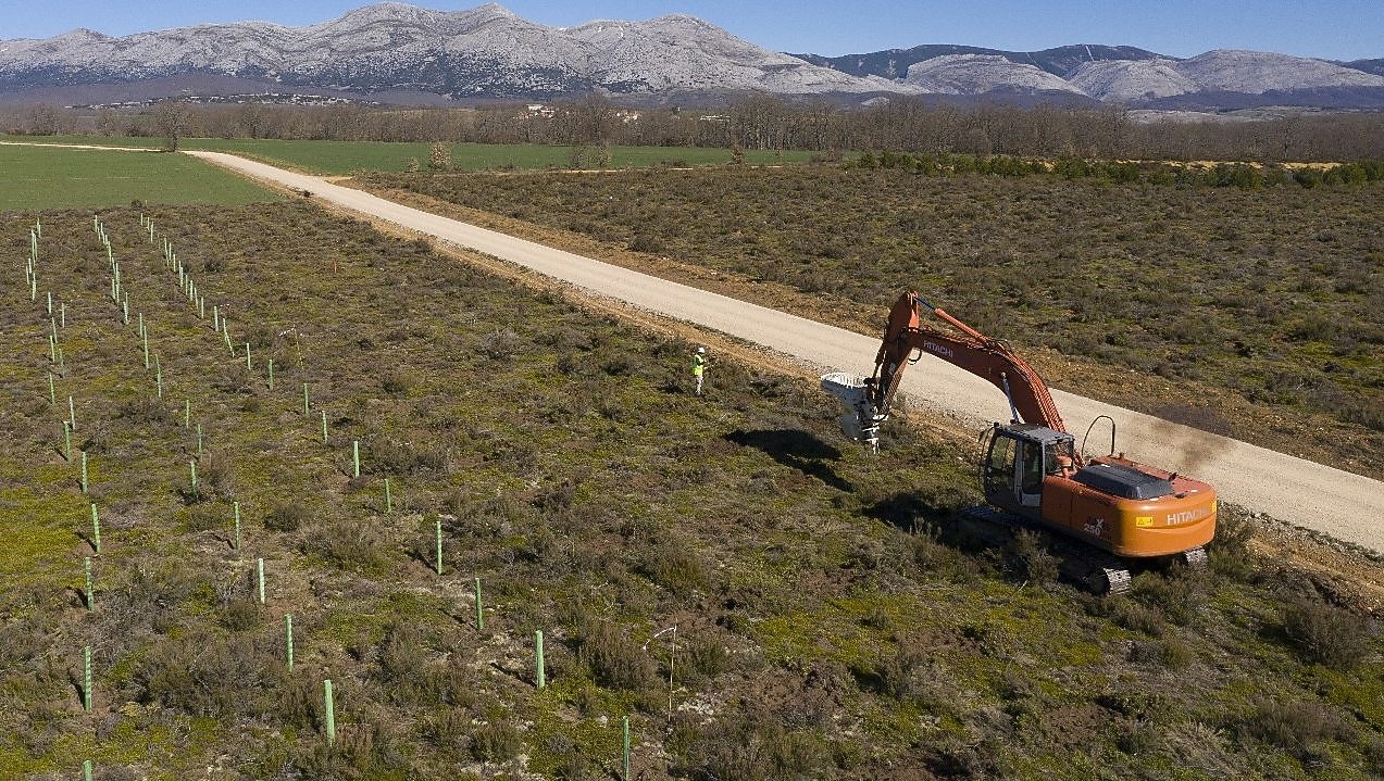Memahami Pentingnya Perawatan Kendaraan Operasional