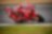 Ducati 2021 France Moto GP