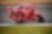 Ducati 2021 France Moto GP