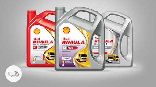 Shell Rimula