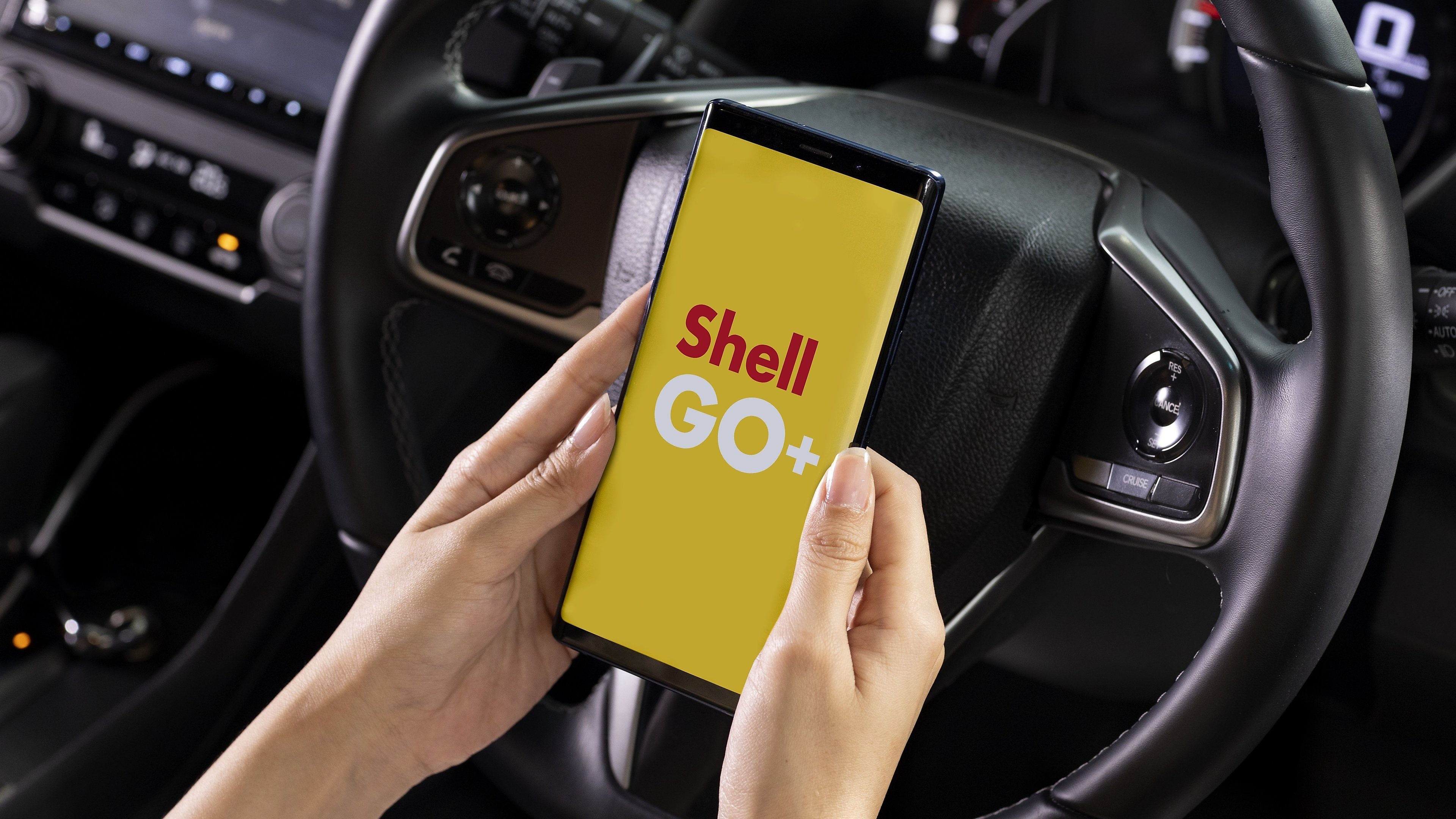 Go shell